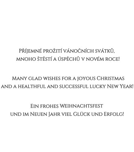 text 162