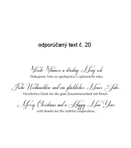 text 20